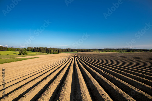 organic food and renewable energy  landscape with potato fields  new and fresh prepared potato fields in a spring landscape with cloudless sky