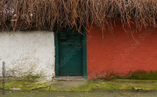 Old vintage green door.  Stone wall and plants. Doors of city houses.