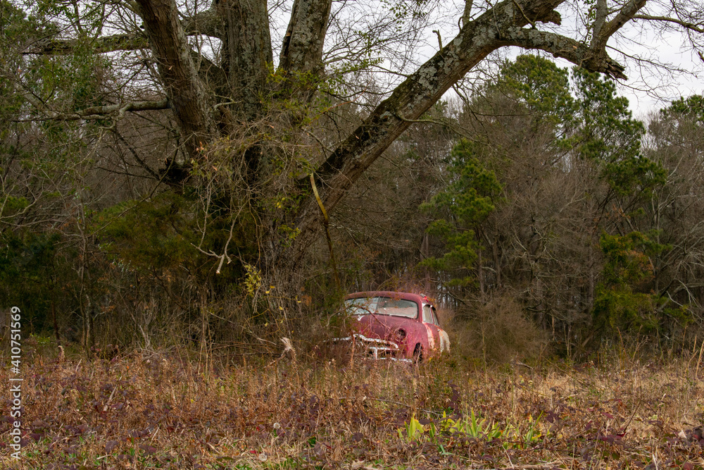 car in the woods