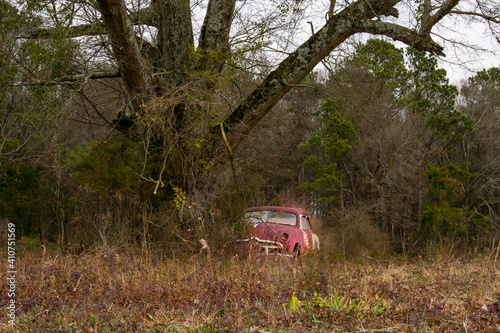 car in the woods