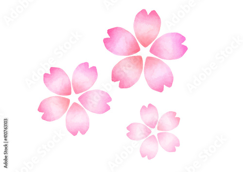 手書き　水彩　桜の花びら