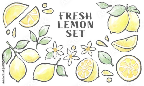 手描き風　レモンのイラスト　セット