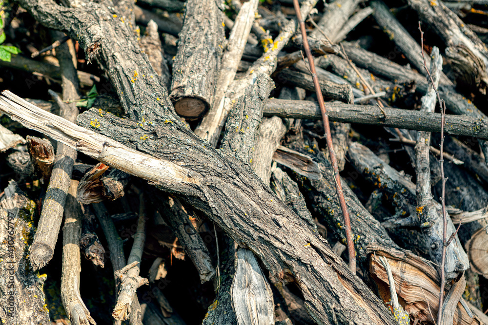 Habitat pile , stack of dry woods Habitat pile , stack of dry woods
