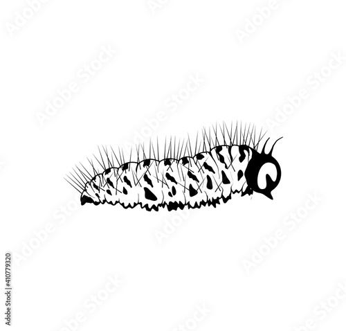 caterpillar icon vector illustration with black and white colors.