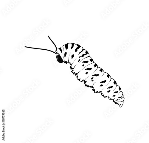 caterpillar icon vector illustration with black and white colors.
