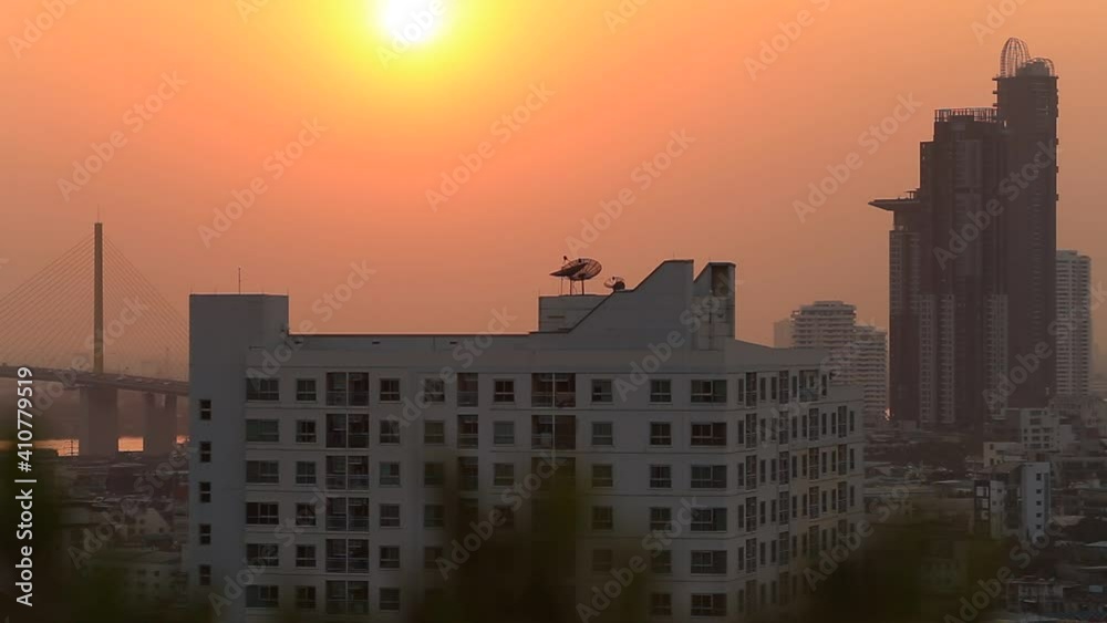 The background view of the video of the blurred leaves affecting the morning light, with beautiful fluttering by the wind, spontaneous beauty The background view of the video of the blurred leaves affecting the morning light, with beautiful fluttering by the wind, spontaneous beauty