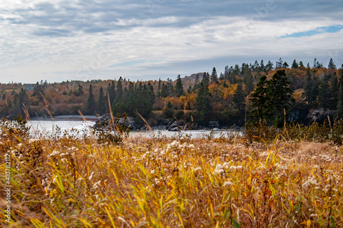 Hamilton Cove Reserve, Maine