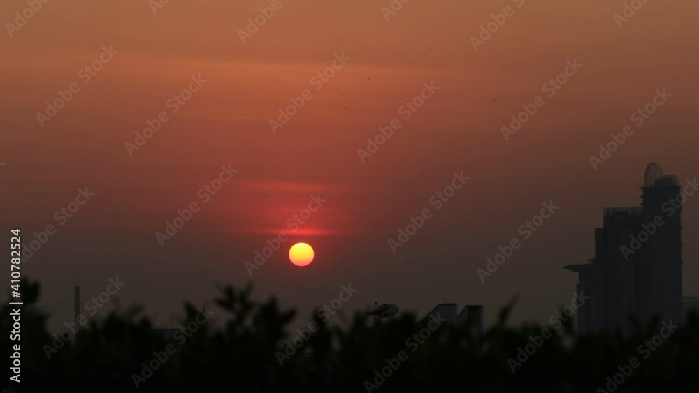 The background view of the video of the blurred leaves affecting the morning light, with beautiful fluttering by the wind, spontaneous beauty The background view of the video of the blurred leaves affecting the morning light, with beautiful fluttering by the wind, spontaneous beauty