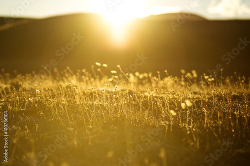 sunset in the field © joowon kim