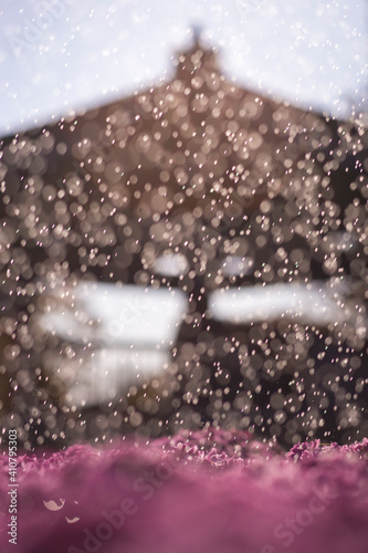 Obraz na płótnie rain drops on the window