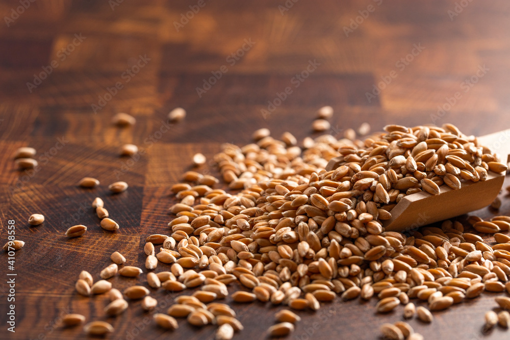 Obraz premium Scoop of Spelt Grain on a Wooden Butcher Block