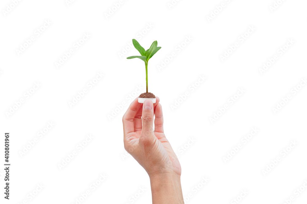 Hand holding a bottle cup plastic with a tree on white background. save the earth ecology concept. Hand holding a bottle cup plastic with a tree on white background. save the earth ecology concept.