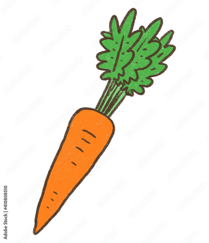 にんじん 人参 carrot にんじん 人参 carrot