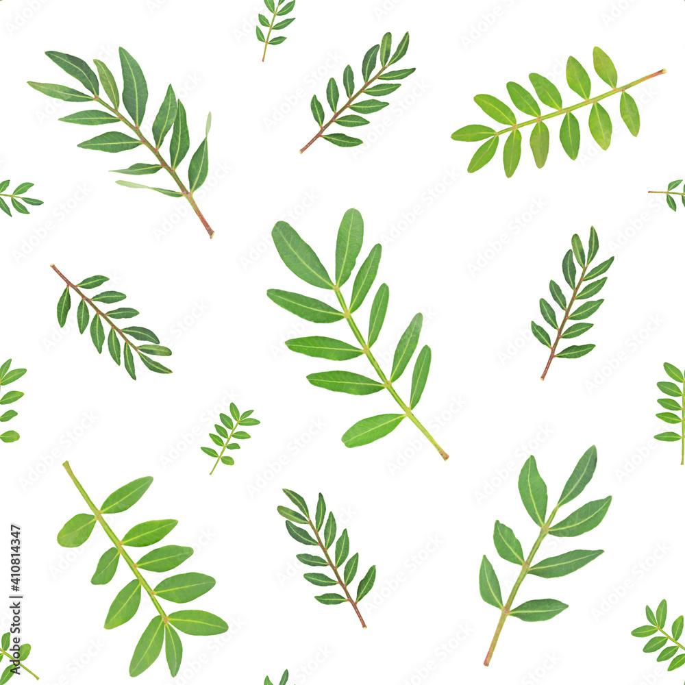 Spring seamless pattern of green leaves Spring seamless pattern of green leaves