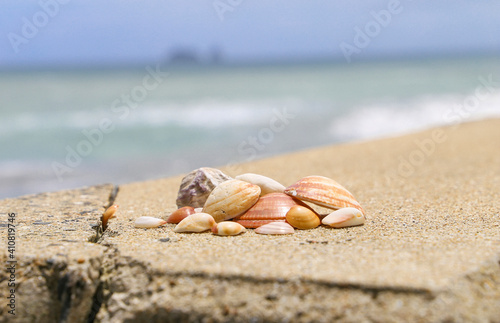 Wallpaper Mural 観光で見た景色 Torontodigital.ca