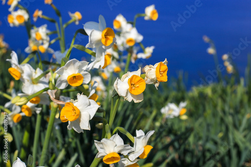 Wallpaper Mural 観光で見た景色 Torontodigital.ca