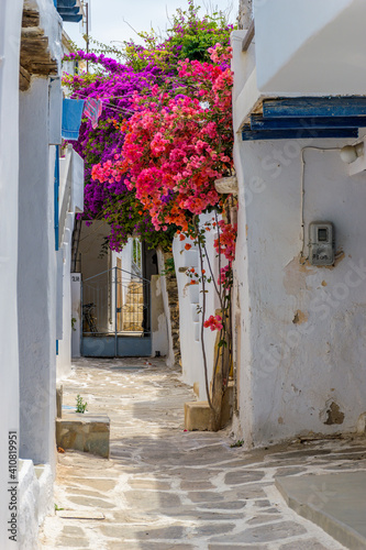 Traditional Cycladitic alley with narrow street  whitewashed houses and a blooming bougainvillea flowers in Naousa  Paros island  Greece