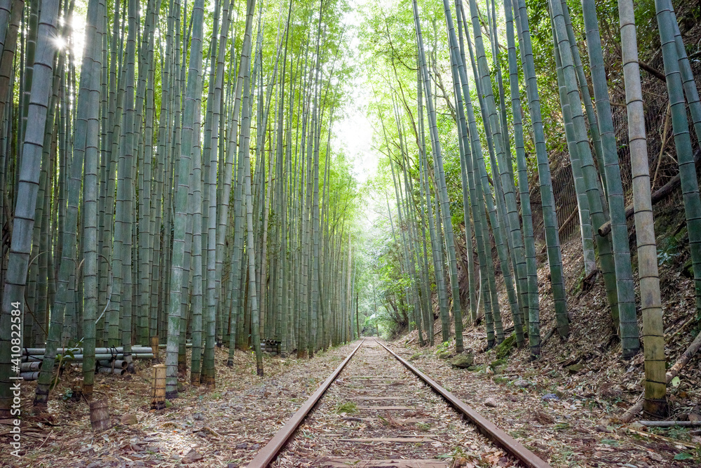 Obraz premium (廃線) 国鉄倉吉線（鳥取県）