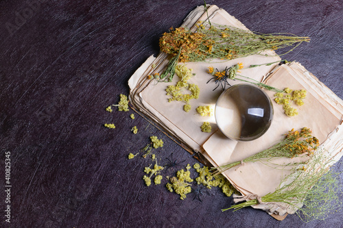Canvas Print Crystal ball of fortune teller, herbs and old book on dark background