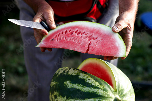 the farmer cuts a watermelon with a knife