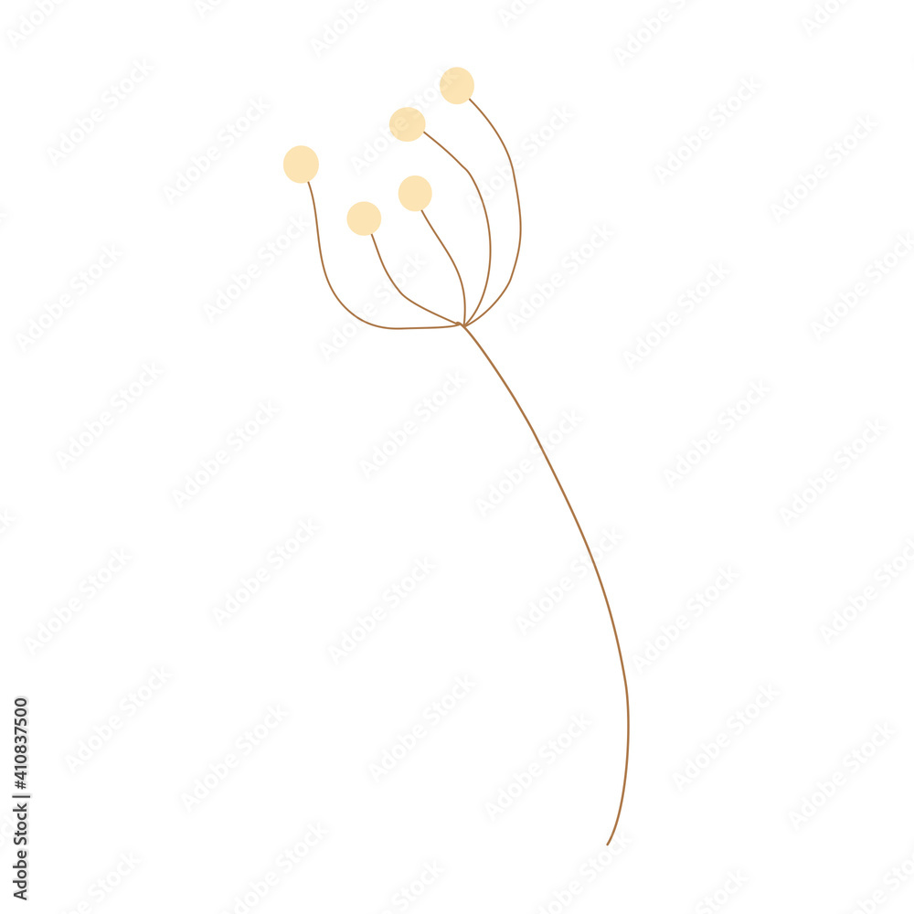 flower isolated on white background flower isolated on white background