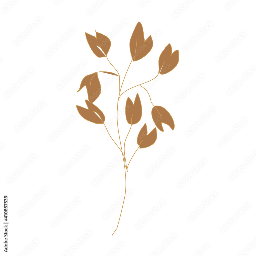 leaves isolated on white background leaves isolated on white background