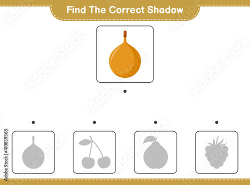 Find the correct shadow. Find and match the correct shadow of Voavanga. Educational children game, printable worksheet, vector illustration