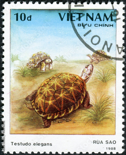 VIETNAM - CIRCA 1988: A stamp printed in Vietnam shows a turtle Testudo elegans