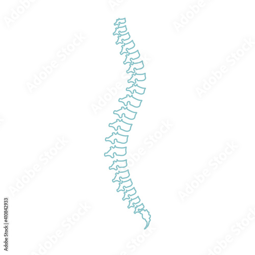 Vector illustration spine diagnostic symbol  design  sign on white background.