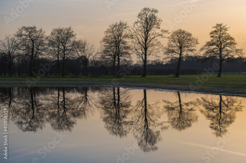 Bare trees in winter with reflection in the still water.