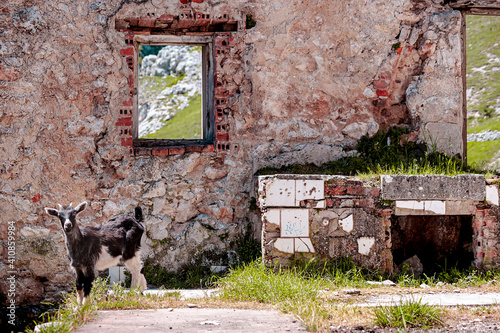 The photograph is a horizontal shot of a kid looking at the camera in a ruined house in the mountains of the Picos de Europa in Asturias Spain © Manu