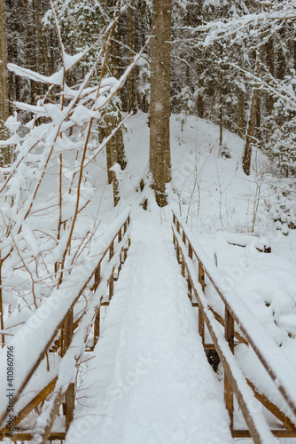 Vertical shot of a wooden bridge covered in a snow photo