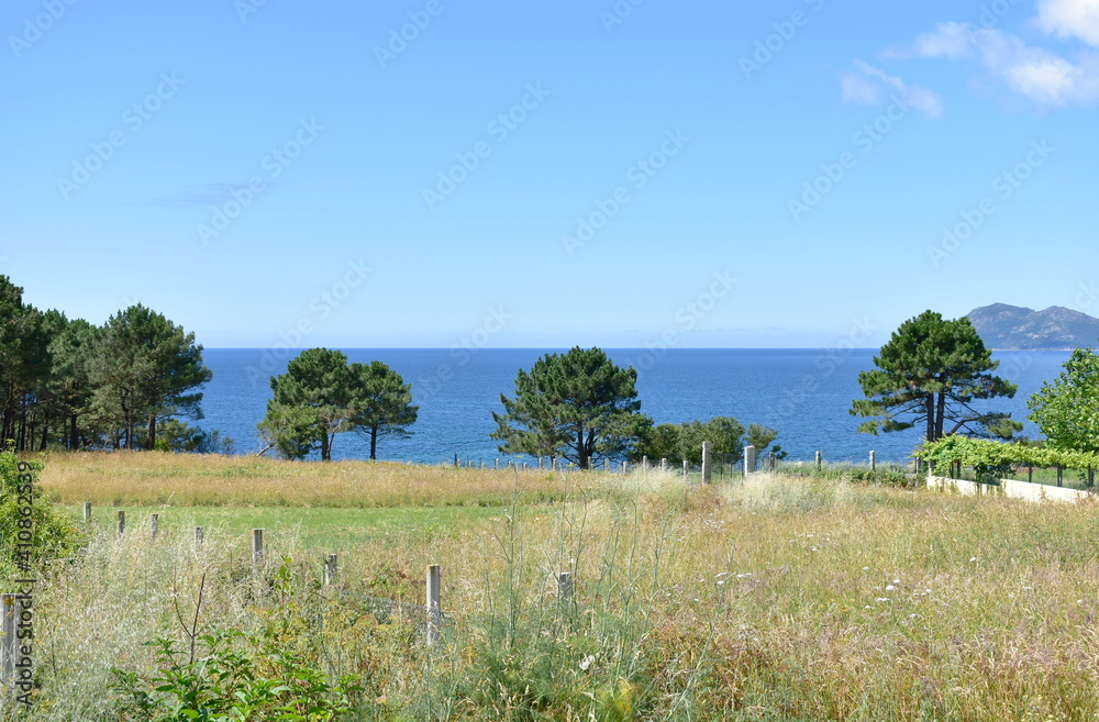 Coast with grass, pine trees and blue sky. Rias Baixas, Galicia, Spain.
