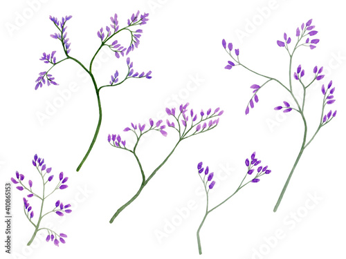 Watercolor illustration of violet little flowers on branches for beautiful design on white isolated background. Watercolor limonium  vintage style.