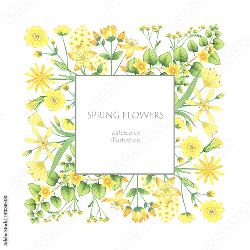 Frame of watercolor yellow flowers and herbs. Hand drawn illustration of lily, buttercup, salsify, moneywort and tutsan. Border of summer plants for packaging, greeting card and invitation. photo