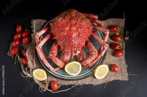 Spider crab or Spider crab on black background, Spain