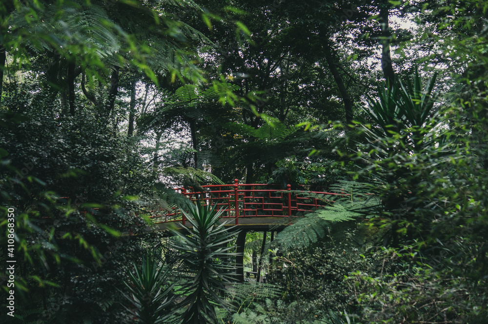 red bridge in the botanical garden