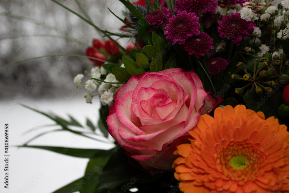 Closeup bouquet of colorful flowers, pink, purple, orange, in front of snowy background, selective focus, concept of birthday, valentines, mothers day