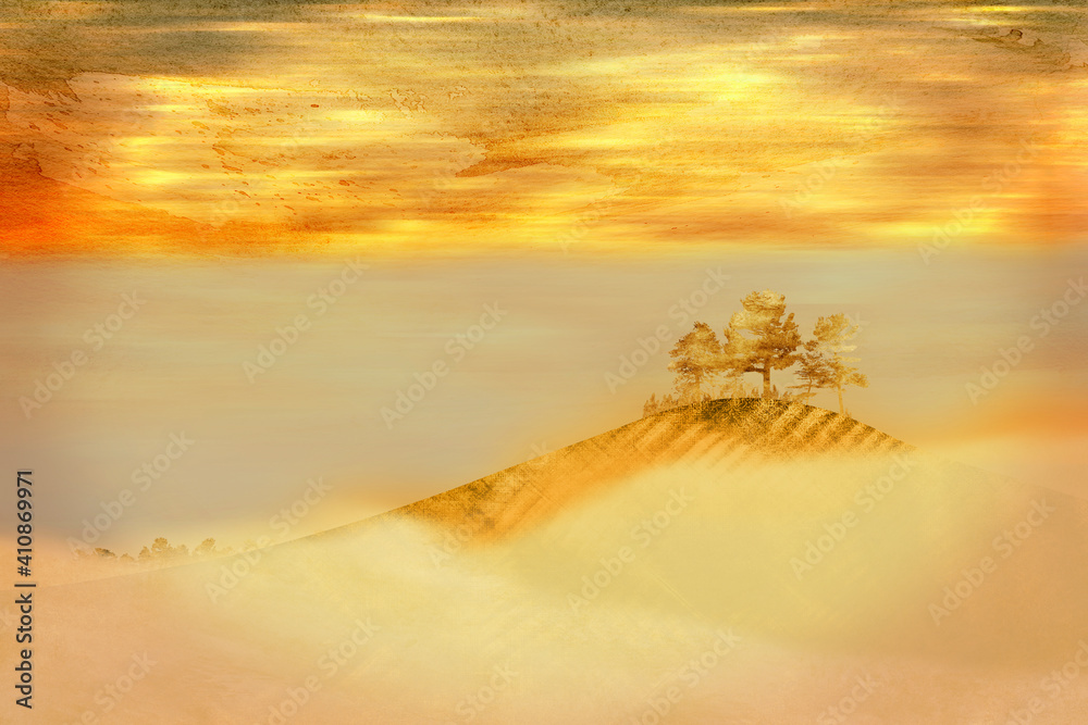 A small oasis at the top of the golden hill