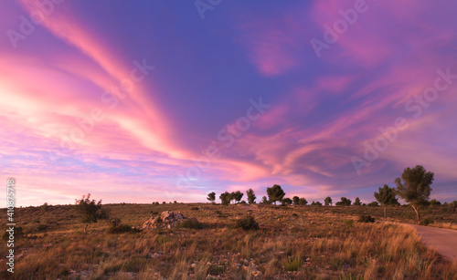 Meadow with trees and sky with blue and magenta clouds at sunset . Spain