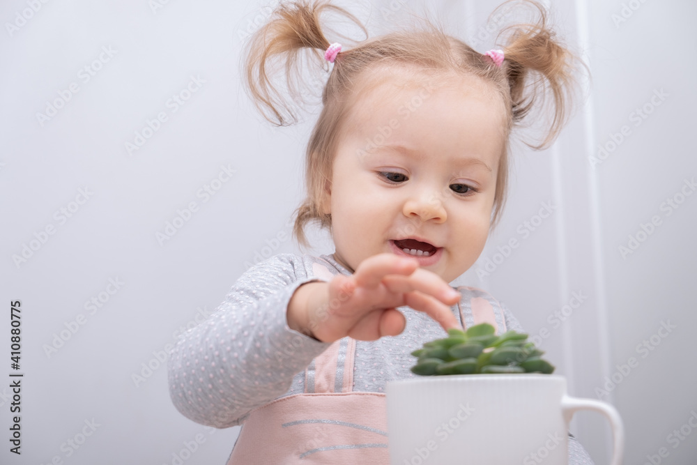 funny little girl carefully touches succulent in pot. funny little girl carefully touches succulent in pot.