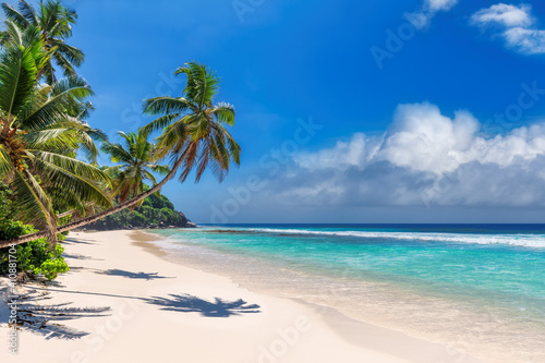 Sunny white sand beach with coconut palm and turquoise sea. 