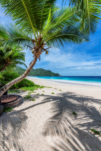 Fototapeta Naklejka Na Ścianę i Meble -  Tropical beach with coco palms and the turquoise sea in Caribbean island.	