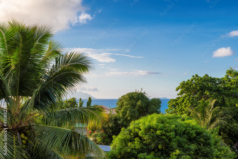 Beautiful view of tropical trees and sea from tropical resort