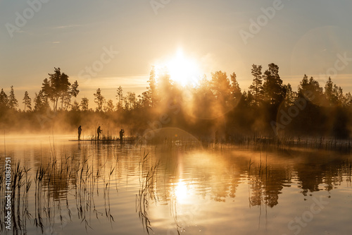 Amazing view of group of people doing SUP stand up paddle boarding at sunrise in swamp. Early summer morning activity