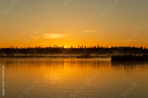Sunrise panoramic view of the swamp in the early summer morning © Uldis Laganovskis