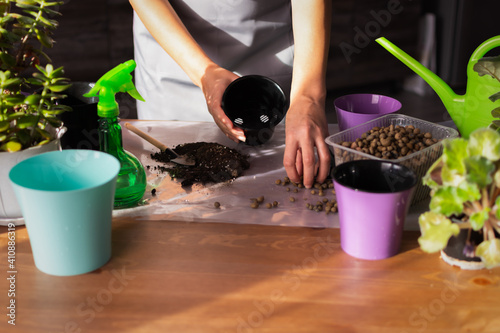 A woman transplants indoor flowers on the table. Spring transplanting of indoor plants into new pots.Care and care of freshness in the house.Close-up of a woman's hands.Garden tools, earth, irrigation