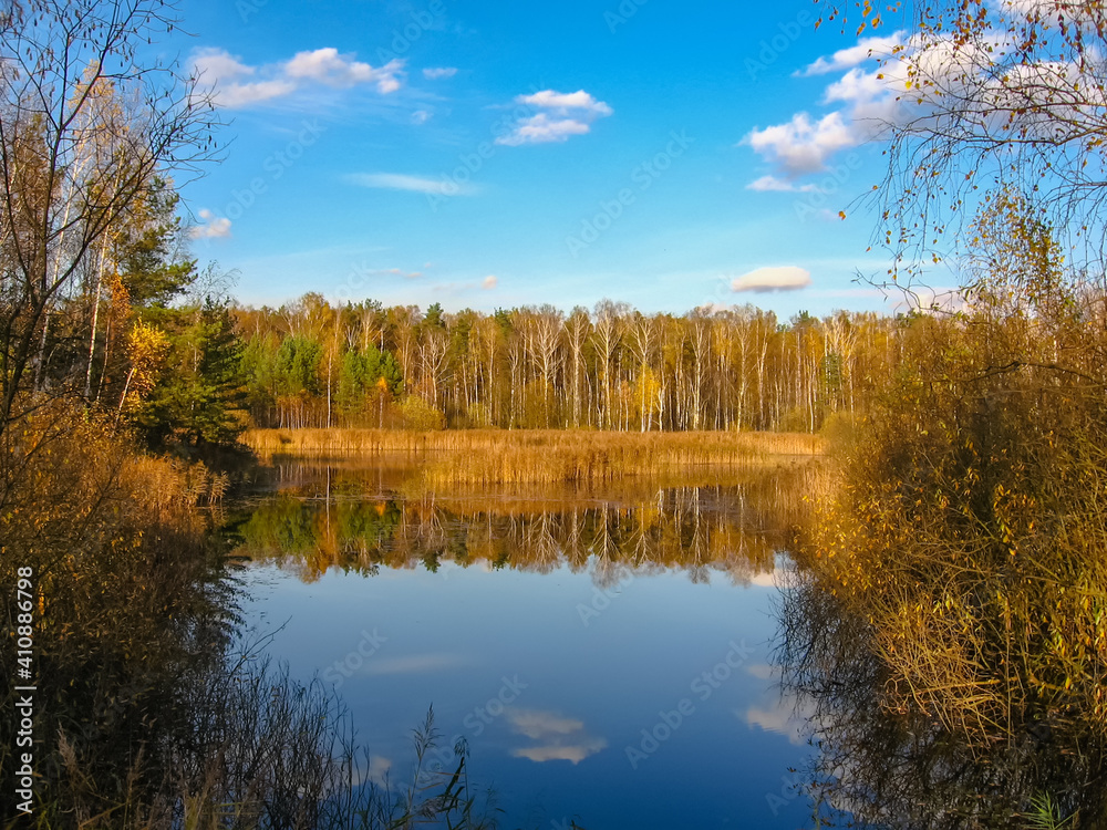 Beautiful autumn landscape with lake behind which the forest in sunny day