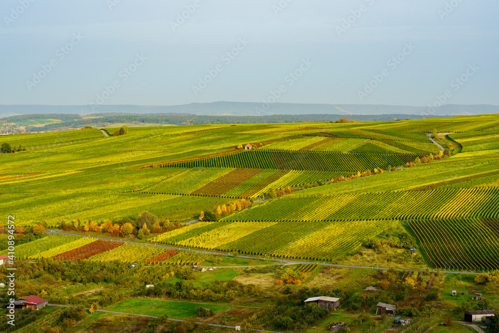 Blick von den Weinbergen bei Köhler auf die Volkacher Mainschleife und den  Weinorten Escherndorf und Nordheim am Main an der Weininsel, Unterfanken, Bayern, Deutschland