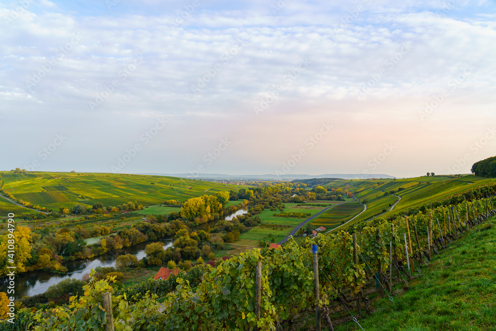 Blick von den Weinbergen bei Köhler auf die Volkacher Mainschleife und den  Weinort Sommerach am Main an der Weininsel und die Mainaue, Unterfanken, Bayern, Deutschland